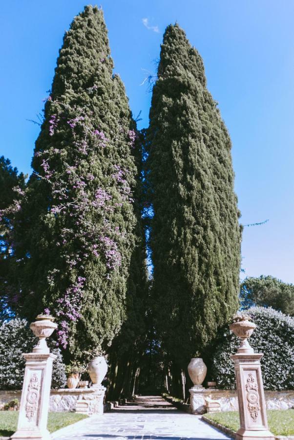 Villa Jacona กัลตาจีโรเน ภายนอก รูปภาพ